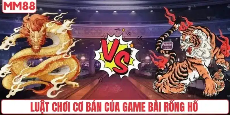 Cách Chơi Rồng Hổ Tại MM88 Hiệu Quả Cho Người Mới Bắt Đầu 4 Luật chơi game bài rồng hổ cơ bản